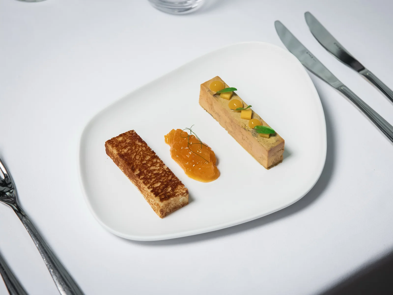 Foie-gras terrine